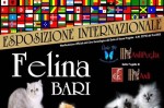 PalaFlorio Bari: concorso di bellezza  gatti il 21 il 22 settembre 2013