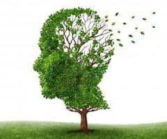 Alzheimer-la-ricerca-scopre-quando-si-spegne-il-cervello-e-inizia-la-malattia