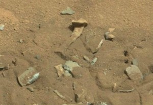 Mars-remains-of-femur-tibia-and-photographed-from-Curiosity-shudders-scientific community 