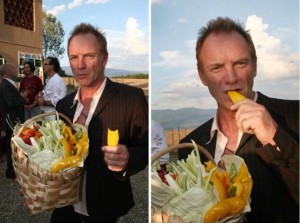 Sting-chiede-262-euro-a-persona-per-raccogliere-olive-e-zappare-nella-sua-tenuta