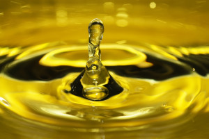 Olio-d-oliva-crollo-produzione-ma-lievitano-i-prezzi-con-un-più-38%