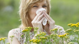 Allergia-al-polline-alcuni-consigli-utili-a-prevenire-il-male-di-stagione