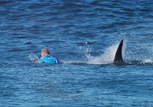 Sudafrica-choc-surfista-attaccato-da-squalo-durante-gara