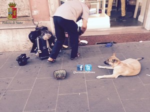 Roma-cani-maltrattati-denunciati-due-mendicanti-nomadi