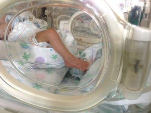Topo-entra-nell-incubatrice-dell-ospedale-e-morde-il-neonato-video