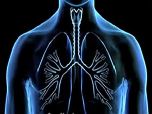 Malattie-respiratorie-colpiti-7-milioni-di-italiani-ma-uno-su-tre-non-si-cura