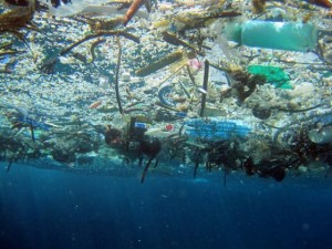Inquinamento-nel-2050-nei-mari-ci-sarà-più-plastica-che-pesci