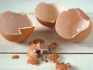Dai-gusci-delle-uova-si-può-ricavare-plastica-biologica-per-imballaggi
