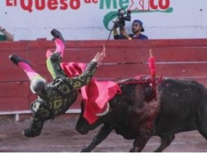 Messico-torero-famoso-per-il-sigaro-incornato-dal-toro-resterà-tetraplegico
