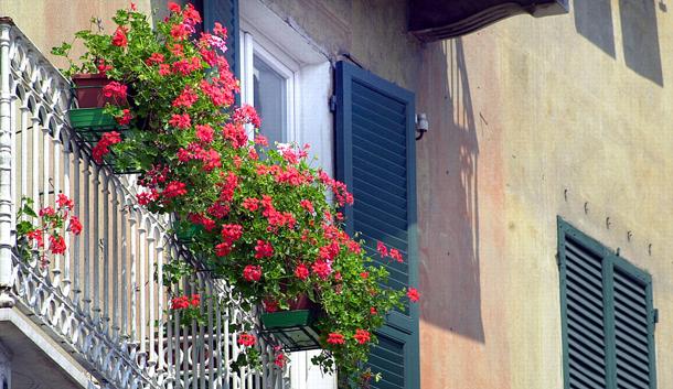 ©FotoFrosio2001 09052001 Savona balcone fiorito fiori gerani