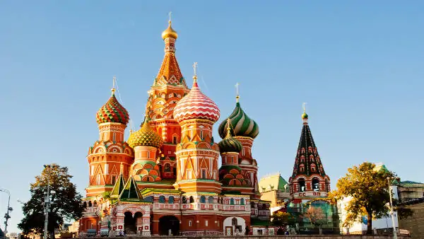 In Russia, a Mosca terrore per i piccioni zombie che piombano dal cielo