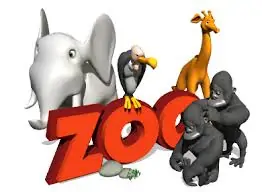 In-uno-zoo-in-Cina-un-cane-al-posto-di-un-leone-a-Fasano-nasce-una-piccola-giraffa