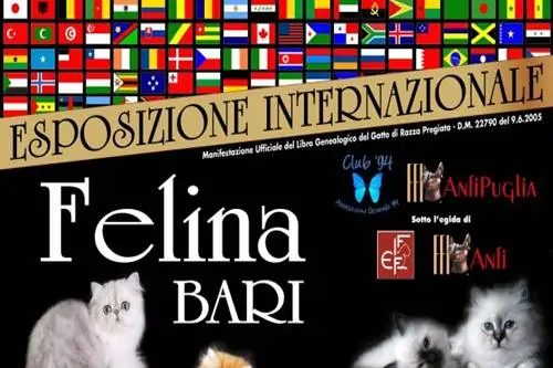 PalaFlorio Bari: concorso di bellezza gatti il 21 il 22 settembre 2013