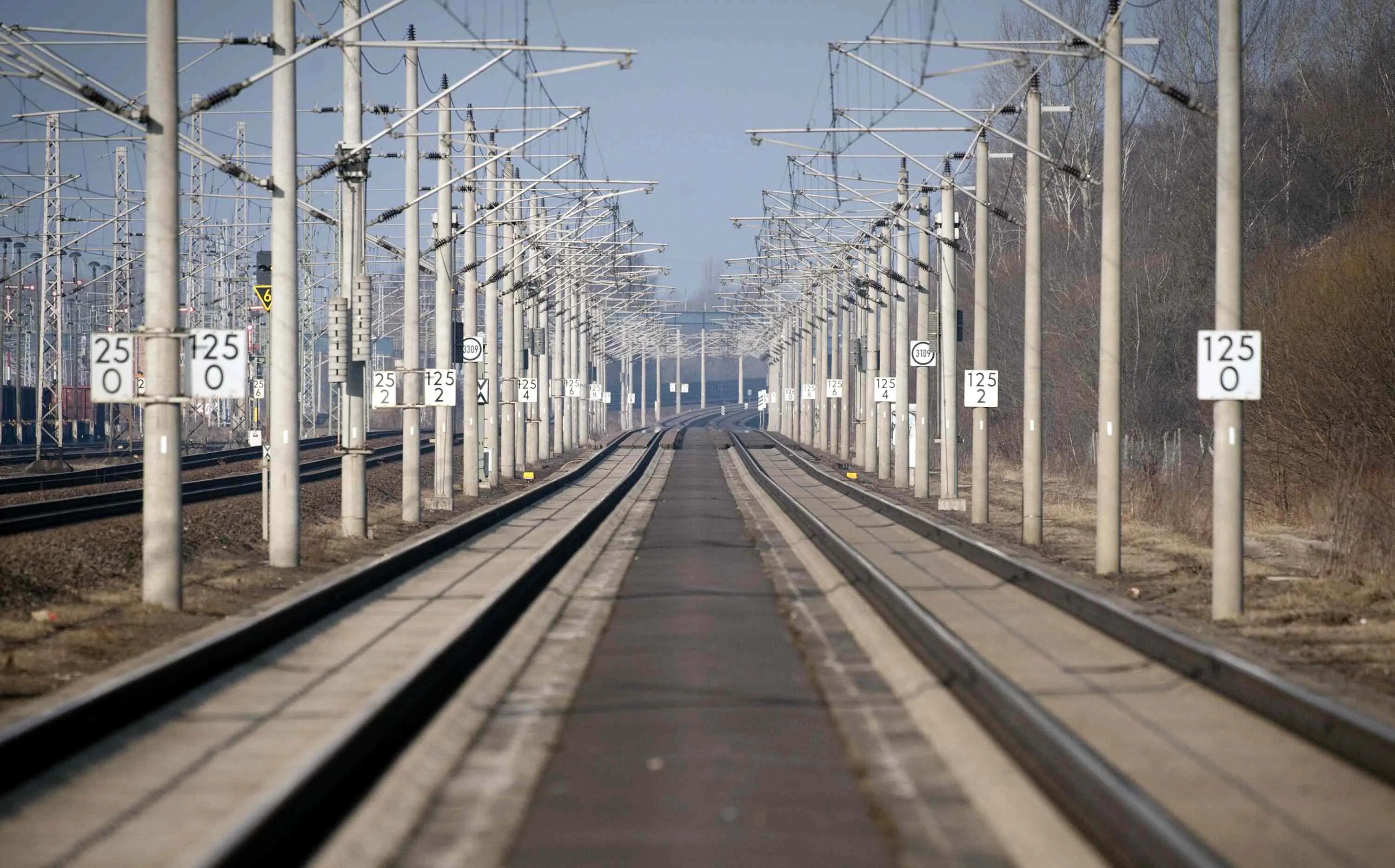 Sale sul treno regionale con l’ascia e inizia a colpire, una persona perde la mano, terrore in stazione