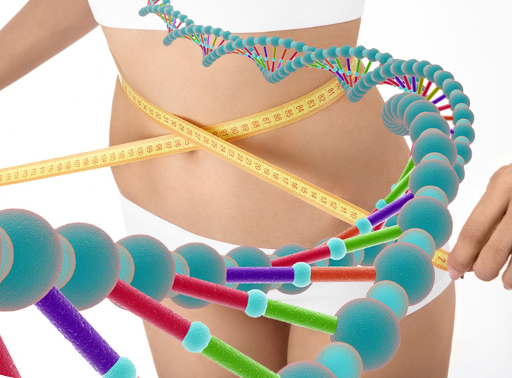 Diete genetiche: si potrà dimagrire studiando i geni del gusto del Dna