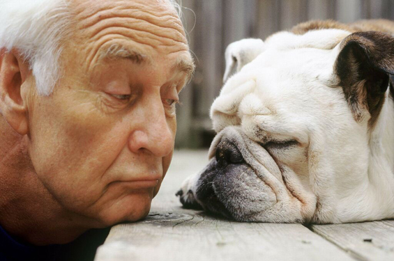 Avere-un-cane-e-prendersene-cura-fa-ringiovanire-di-dieci-anni