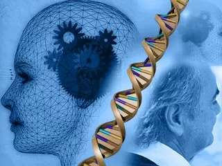 Team-di-ricerca-italiano-scopre-l-origine-dell-Alzheimer