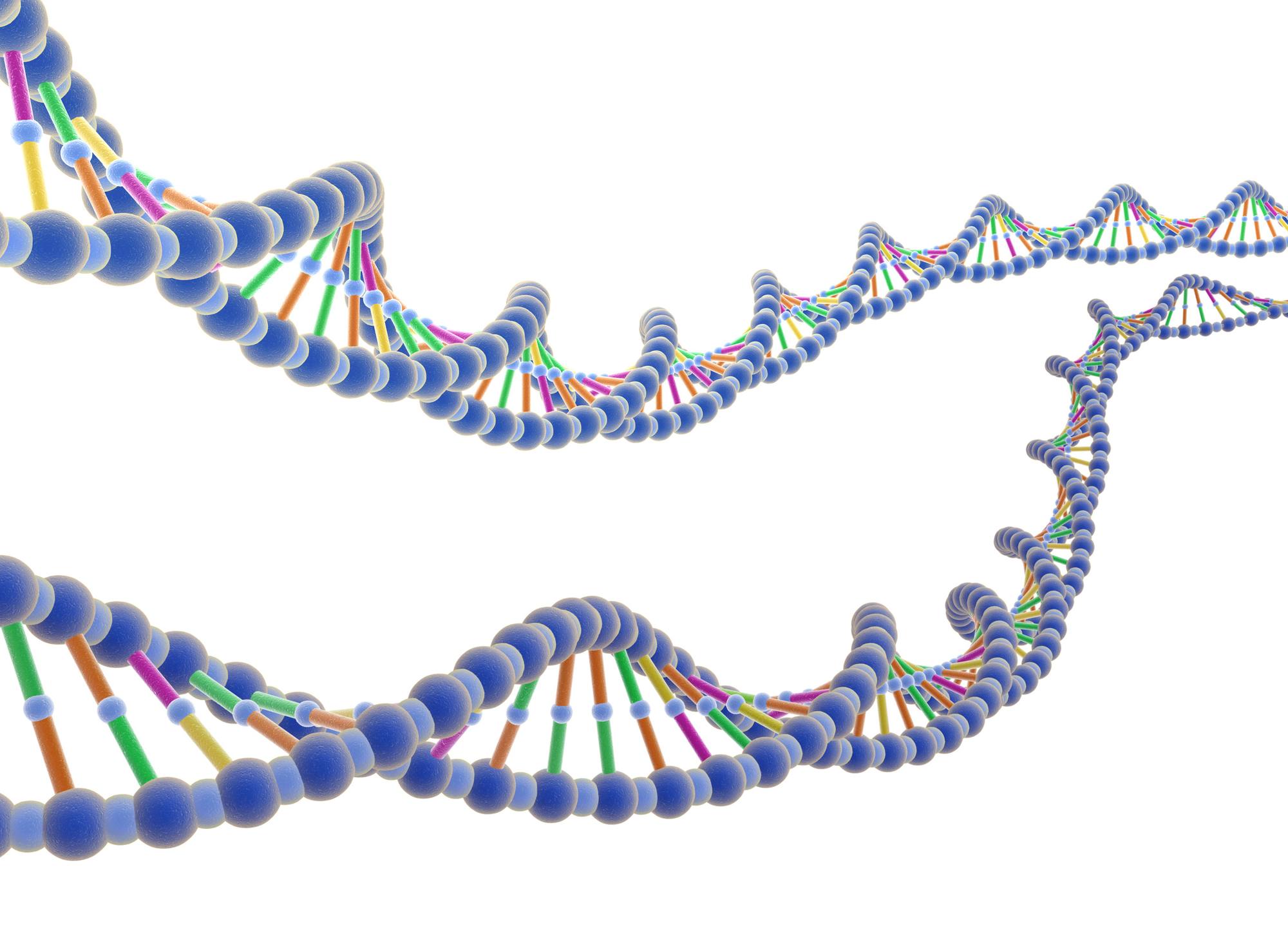 Esame del DNA choc, marito e moglie scoprono di essere fratelli