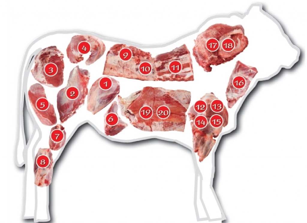 Carne Bovine hanno costi elevatissimi rispetto ad altri allevamenti e produce inquinamento