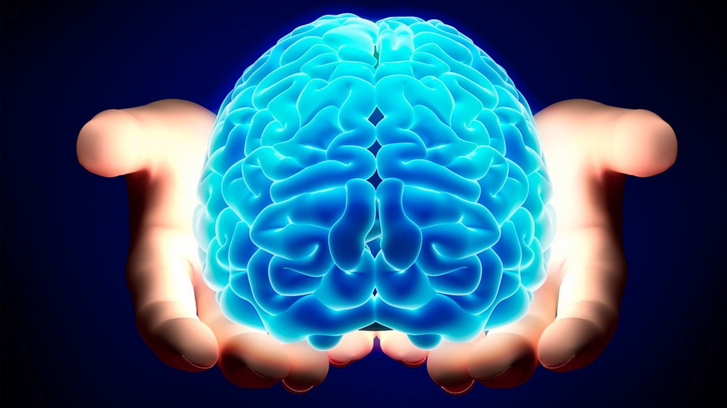 Gruppo di ricercatori crea il “mini-cervello” in 3D, tra questi un italiano