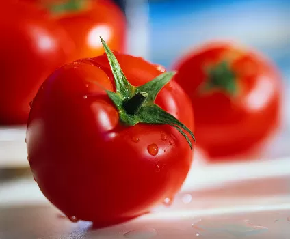 Tumore-alla-prostata-il-pomodoro-può-essere-l-antidoto-giusto-per-prevenirlo