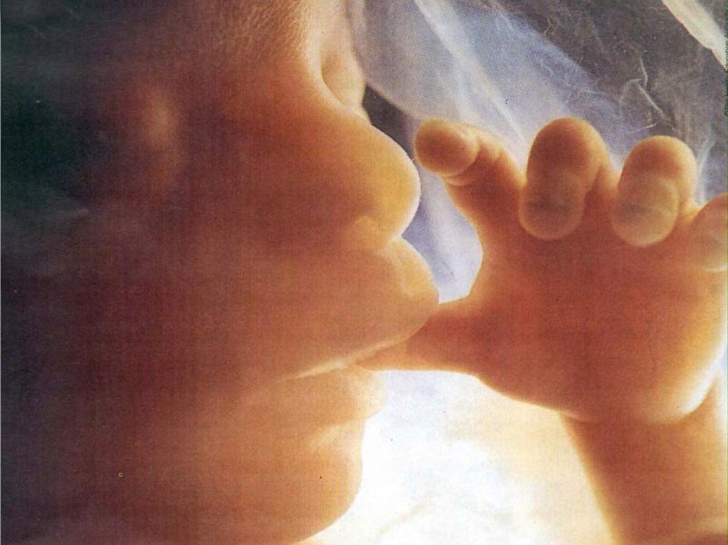 Ecografia demone affianco al feto l’inquietante foto sconvolge il web