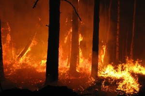 Meteo-Italia-allerta-al-nord-per-forti-piogge-caldo-e-incendi-al-sud