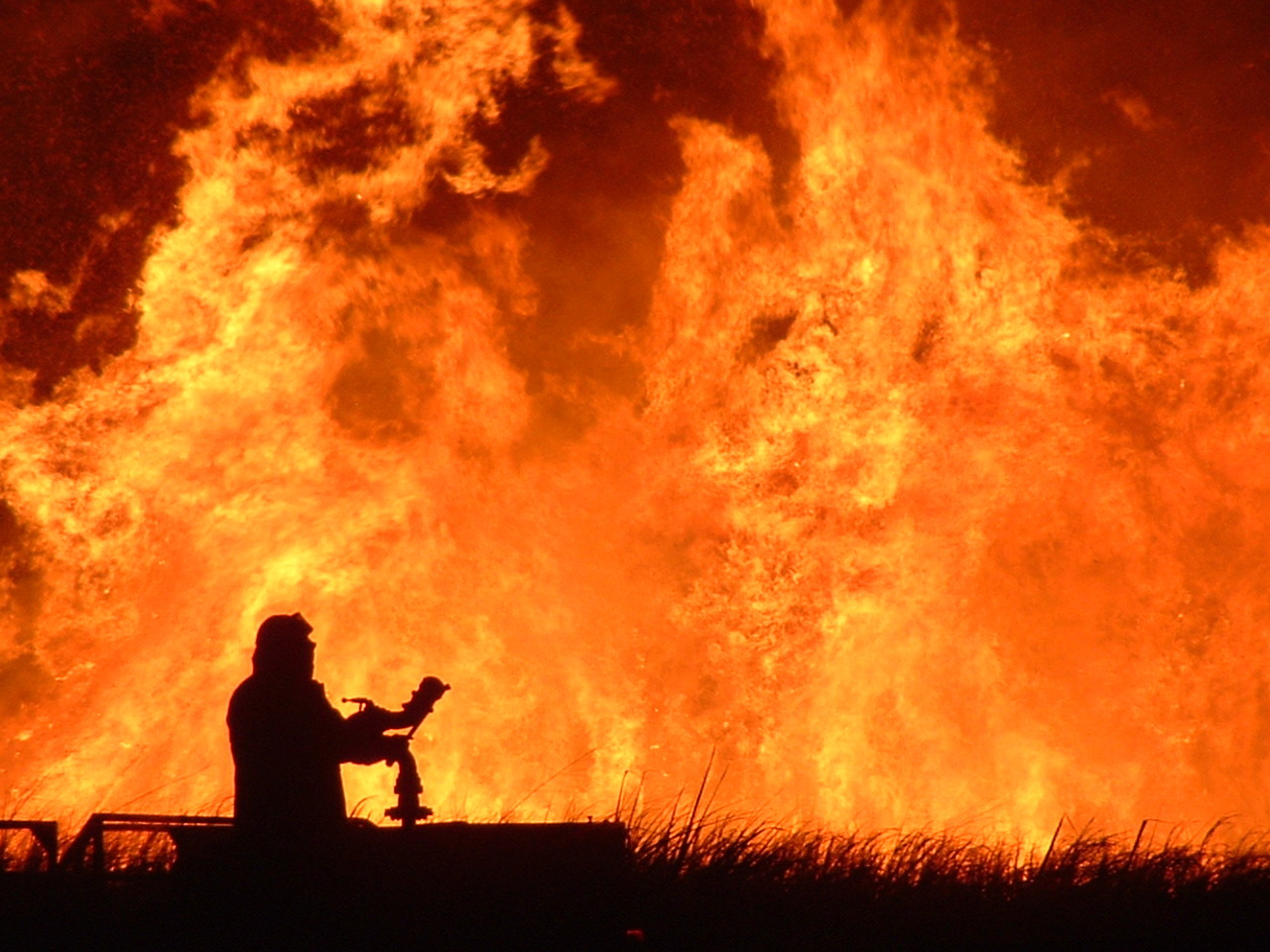 Ischia-domato-maxi-incendio-proseguono-le-indagini-e-si-contano-i-tantissimi-danni