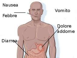 Otto-norme-fondamentali-per-evitare-l-intossicazione-alimentare