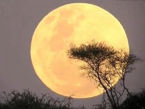 Notte di San Lorenzo: domani sarà il giorno della super Luna e delle stelle cadenti