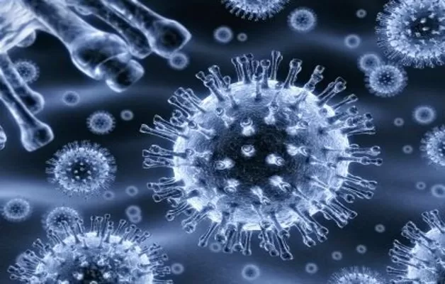 Tumori-importante-ricerca-per-curarli-veleno-di-api-e-scorpioni