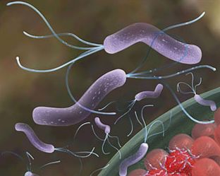 Allarme-Amcli-in-aumento-i-casi-in-Italia-di-tubercolosi-resistente-agli-antibiotici