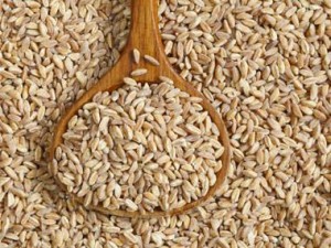 L-orzo-è-il-rimedio-naturale-per-riparare-il-cuore-dall-infarto