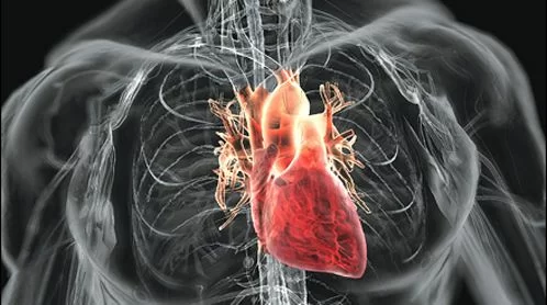 Arresto-cardiaco-rianimazione-più-facile-grazie-al-videogame-“Relive”