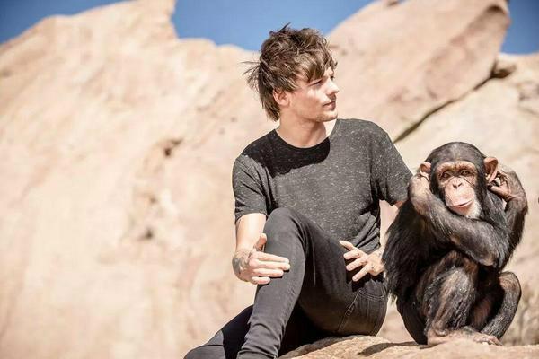 One Direction ira animalisti per ultimo video “Steal My Girl”