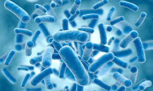 Le-infezioni-resistenti-agli-antibiotici-nel-2050-provocheranno-più-decessi-dei-tumori