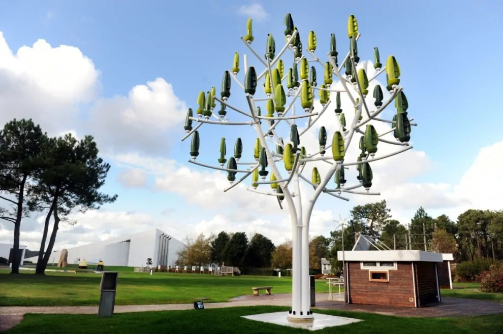 Prato-un-albero-per-ogni-bambino-nato-non-c-è-più-spazio