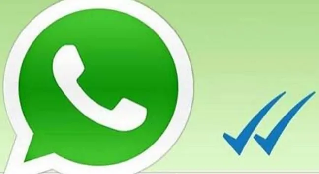 Whatsapp-chiamate-vocali-possibili-solo-per-alcuni-utenti