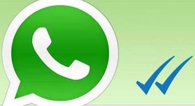 Whatsapp chiamate vocali possibili solo per alcuni utenti