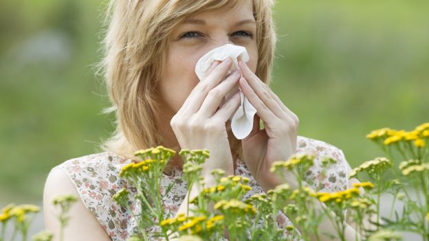 Allergia al polline alcuni consigli utili a prevenire il male di stagione