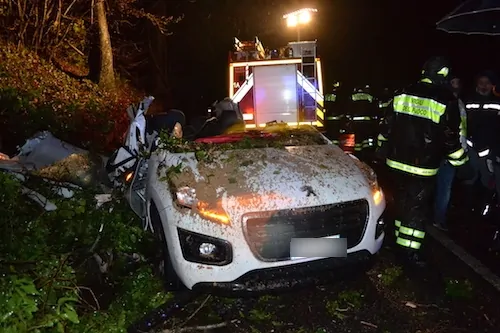 Velletri-cade-grossa-quercia-su-auto-muore-conducente
