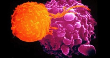 Cancro, scoperta proteina che aumenta le difese immunitarie