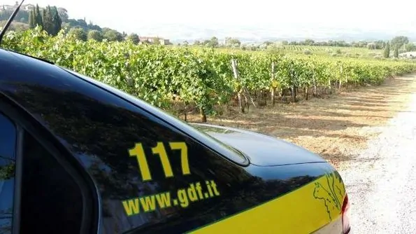 Cremona-truffa-Inps-scoperti-e-denunciati-due-falsi-ciechi