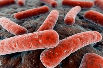 Londra-allarme-per-batteri-resistenti-antibiotici-rischio-80-mila-decessi