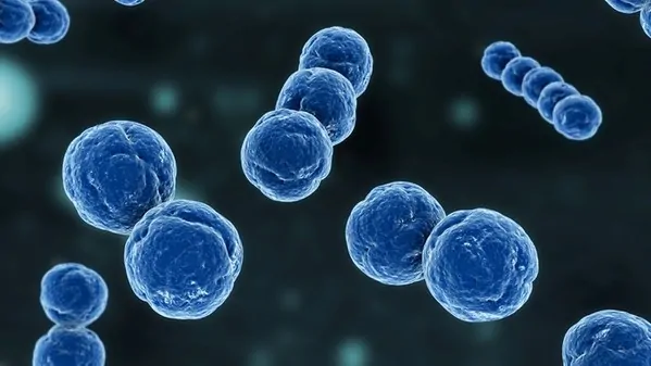 Meningite-in-Toscana-vaccinazione-gratuita-fino-ai-45-anni