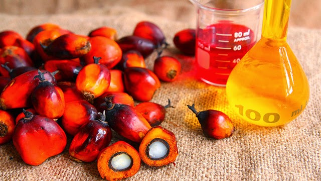 Olio di palma ricco di grassi è una delle cause del diabete