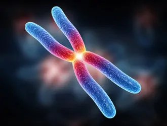 Scoperto-come-i-tumori-riescono-a-resistere-ai-farmaci
