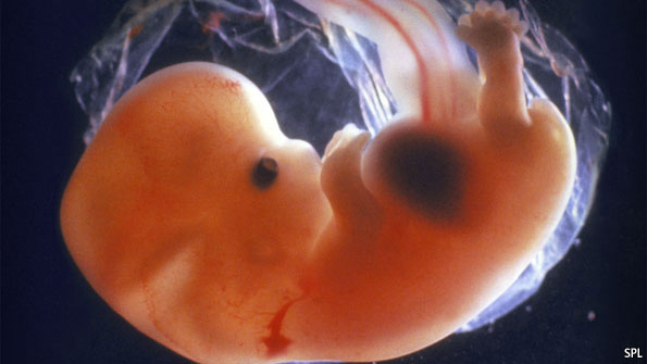 Padova, denunciata donna che abortisce al 7° mese di gravidanza