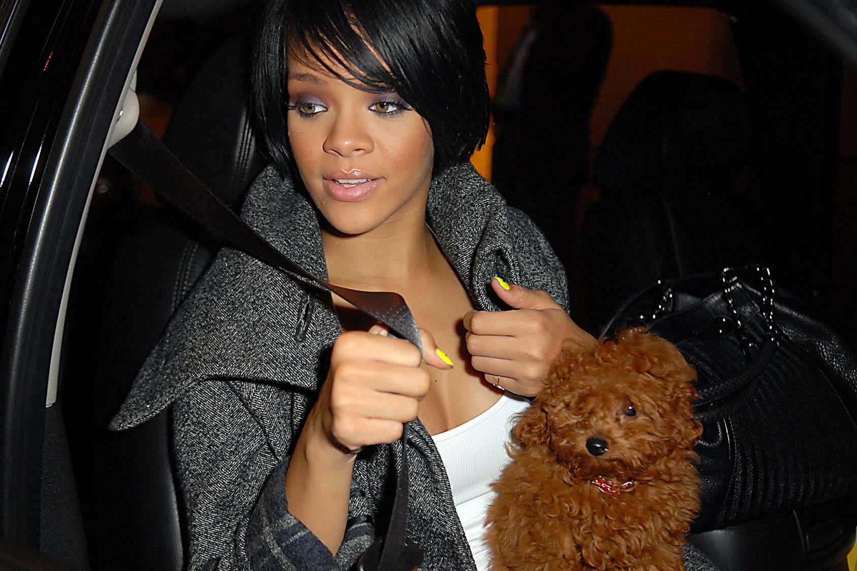 Rihanna trova un cagnolino nei bagni di un locale e lo adotta
