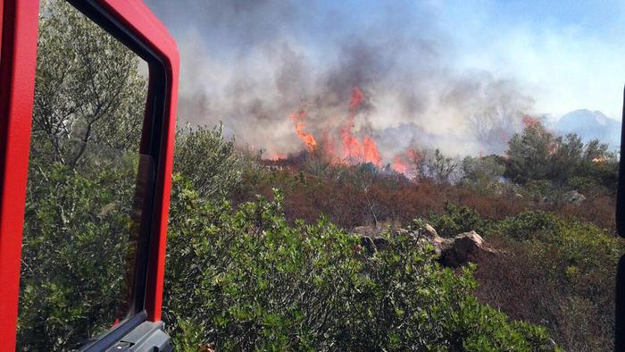 Gallura, vasto incendio turisti in fuga evacuati alberghi e case